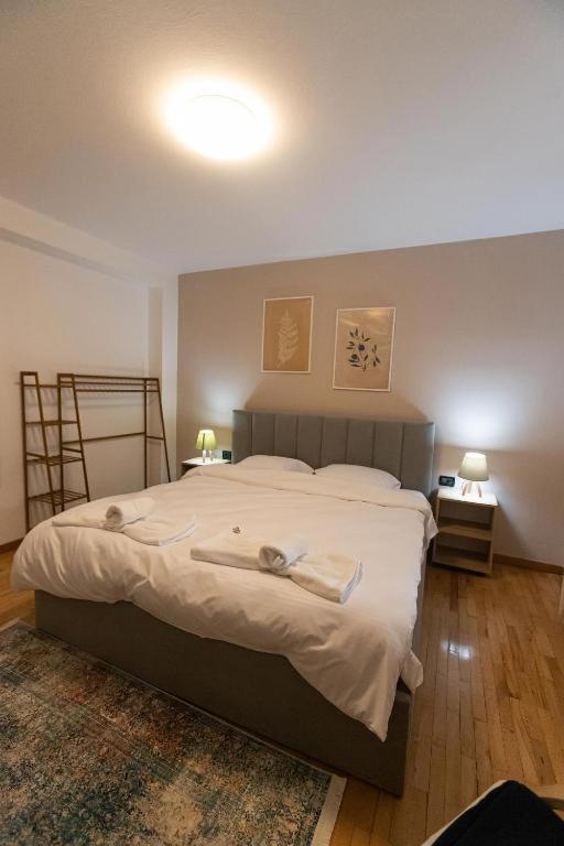 Light-2 Lovely Apartment In Tirana Exteriér fotografie