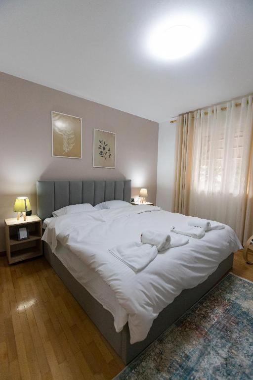 Light-2 Lovely Apartment In Tirana Exteriér fotografie